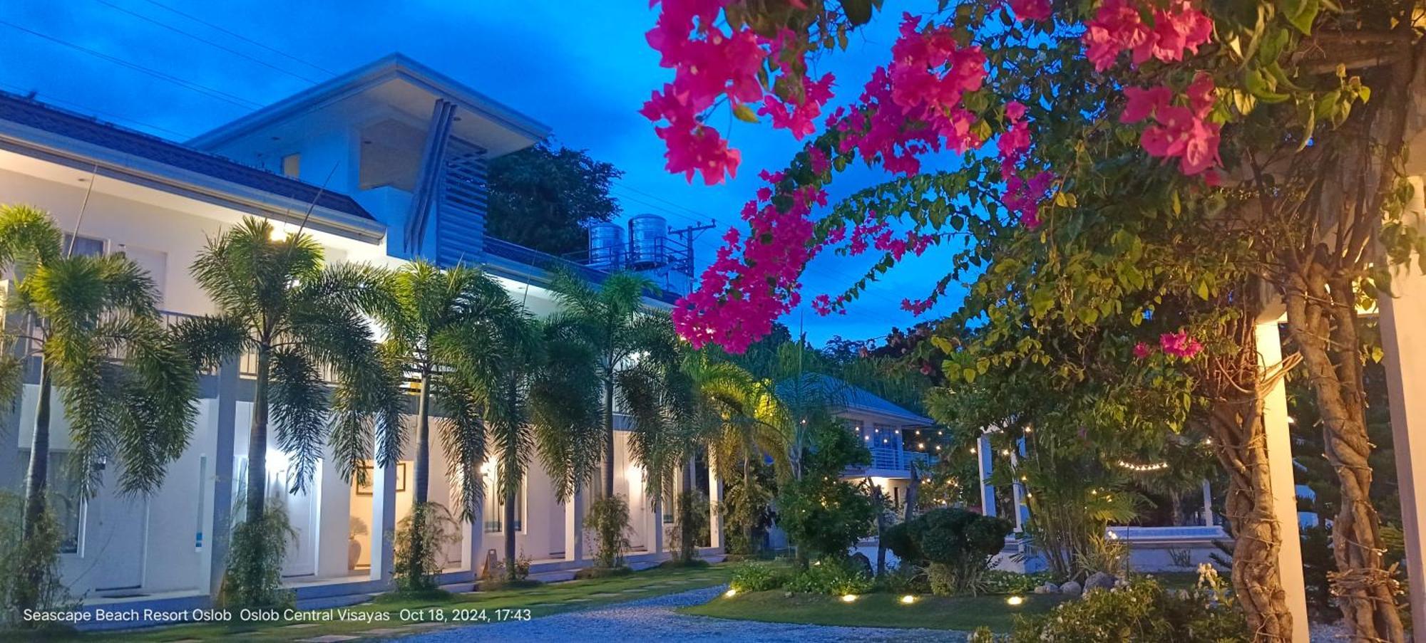 Seascape Beach Resort オスロブ エクステリア 写真